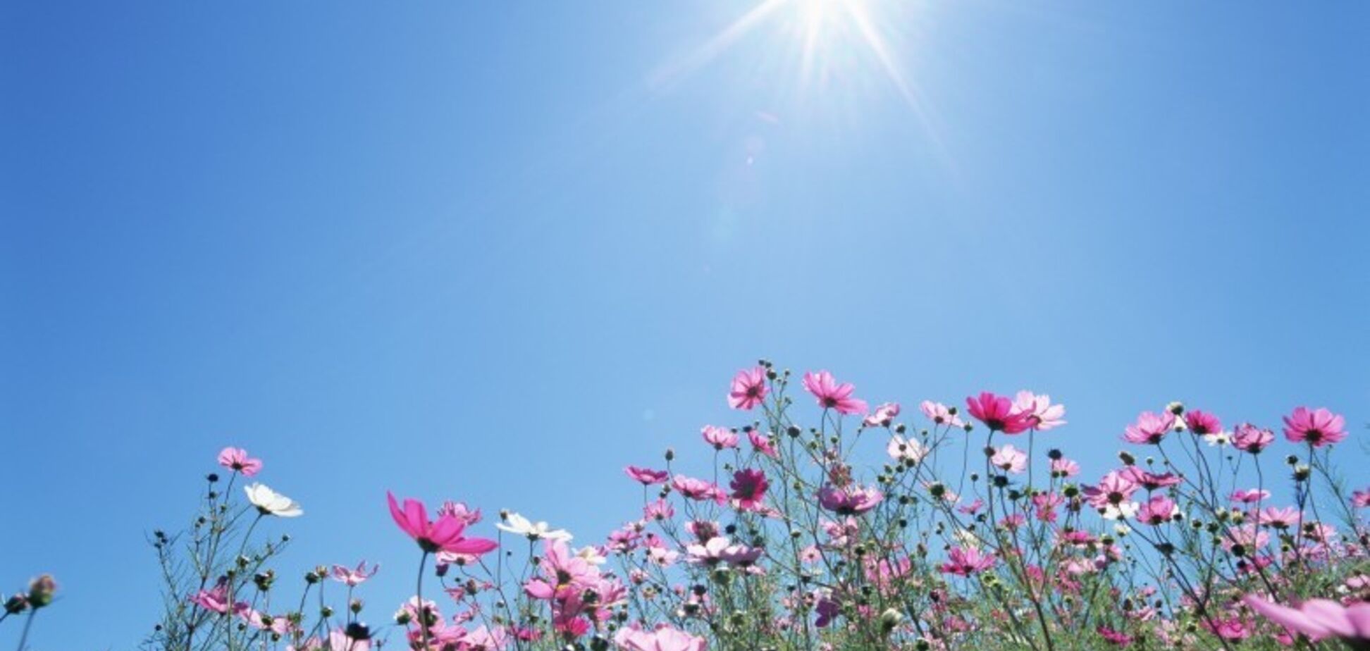 Україну накрив антициклон: синоптик дала прогноз погоди до кінця тижня