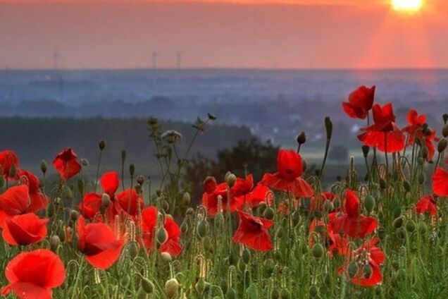 До +11: синоптики попередили про різку зміну погоди в Україні