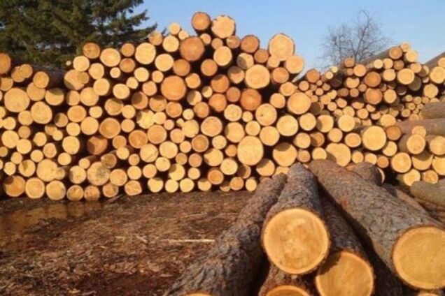 Галасюк: Рада посилила, а не скасувала мораторій на експорт лісу