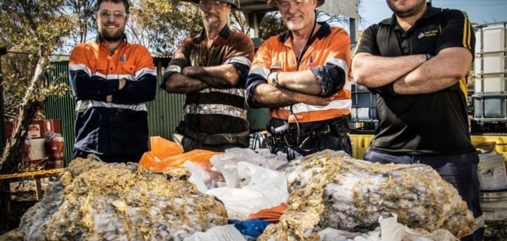 Находка на $10 млн: как в Австралии обнаружили огромный клад