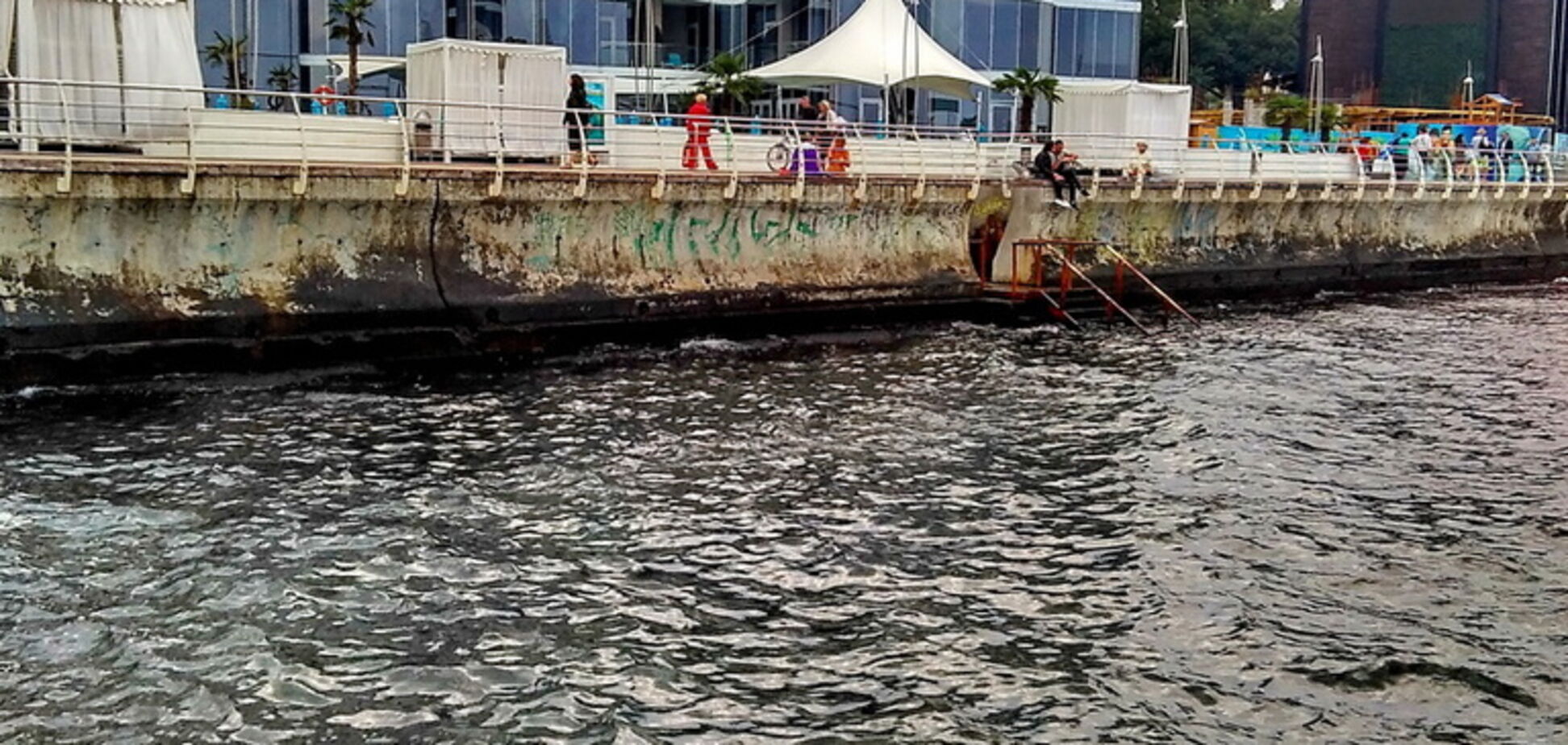 Пляж Одеси заполонили мертві пацюки. Фотофакт