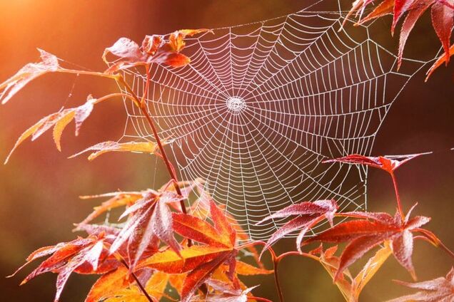 Дожди отступают: стало известно о резком изменении погоды в Украине