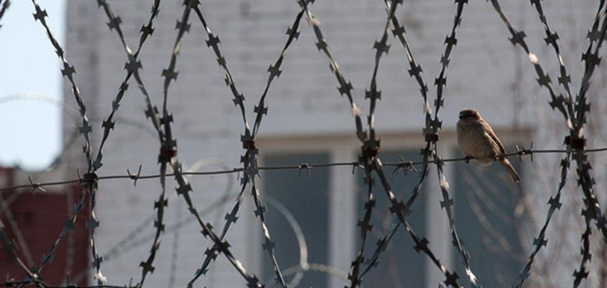 Русские своих бросают, забывают, игнорируют и не замечают