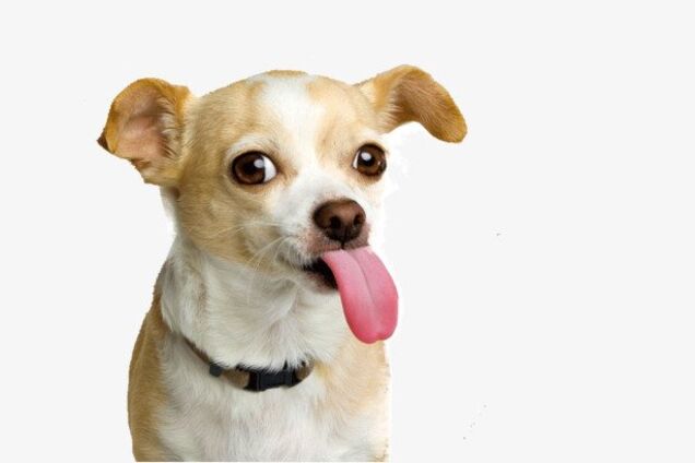 13 сентября 2018: какой сегодня праздник