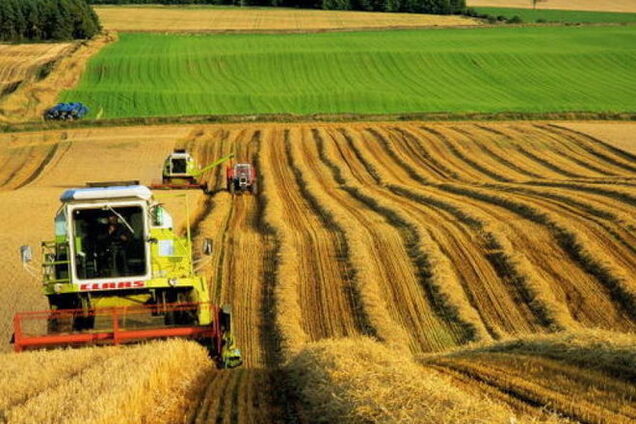 Великий український агрохолдинг продали компанії із Саудівської Аравії