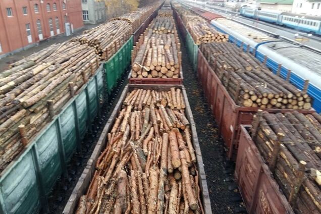 'Фигу, а не лес!' Ляшко жестко ответил противникам моратория на экспорт древесины