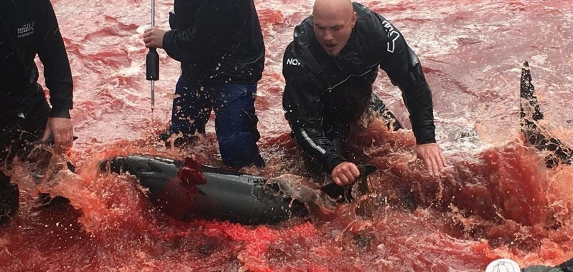 'Добиваючи - посміхалися': масове вбивство з ріками крові потрапило на відео. 18+