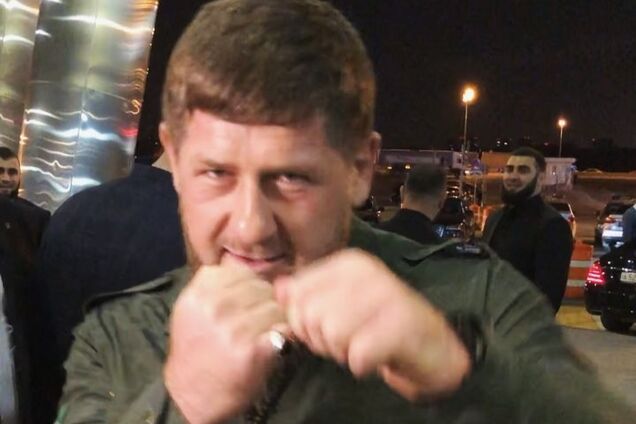 Кот Леопольд: Кадыров отреагировал на разборки чемпиона UFC с Тимати - опубликовано видео