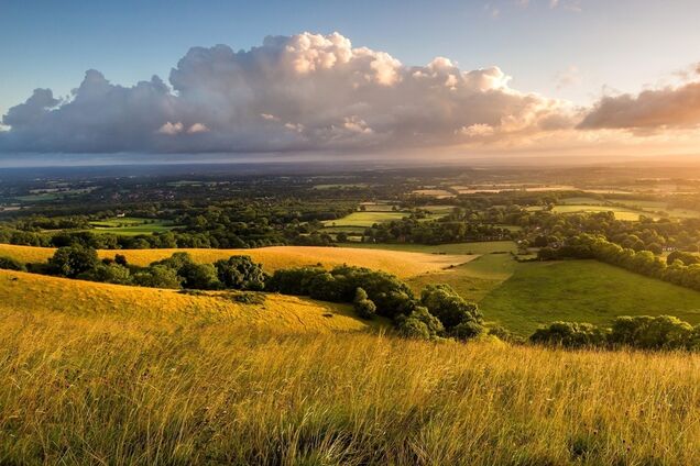 До +30: синоптики пообещали Украине потепление