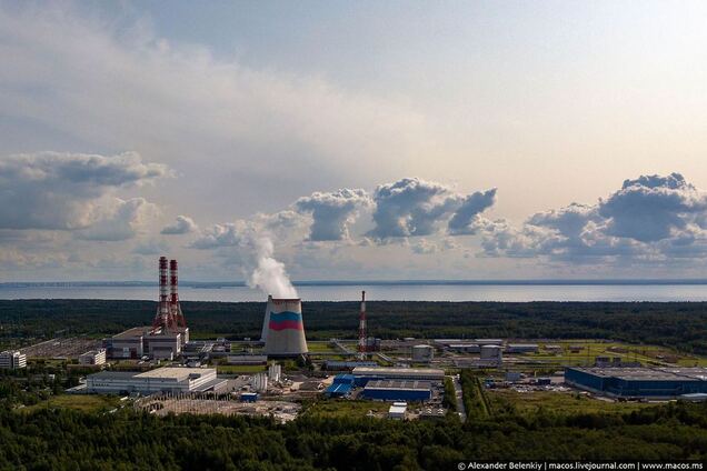 То самое Ольгино. Как выглядит логово интернет-троллей