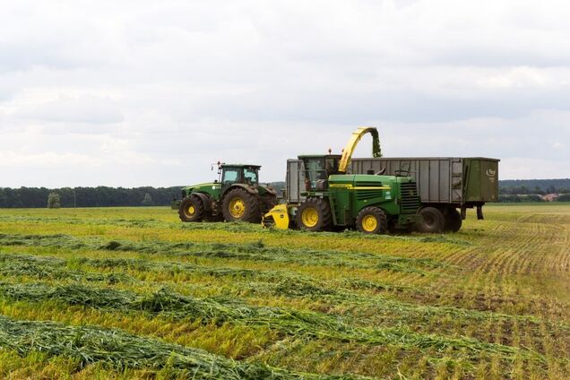 Агрохолдинг 'Укрлендфарминг' Бахматюка увеличил площади под посев озимого рапса на 60%