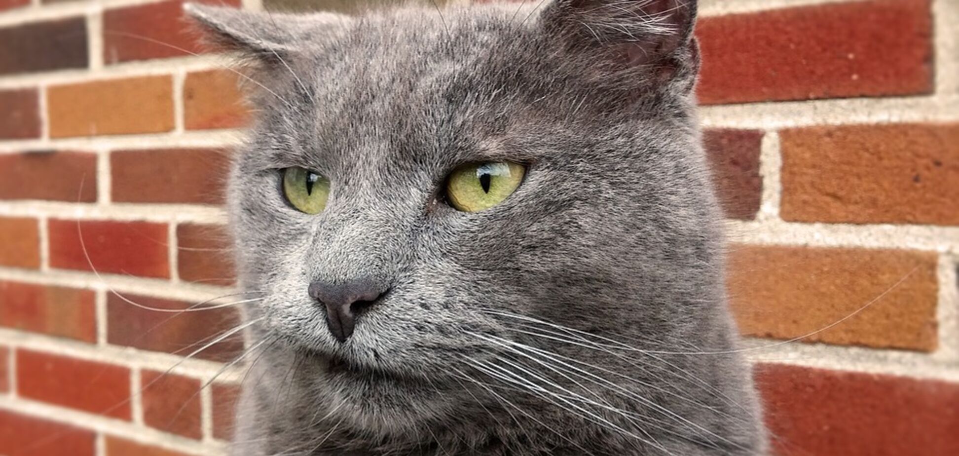 Анекдоты дня: лучшие приколы за 14 сентября