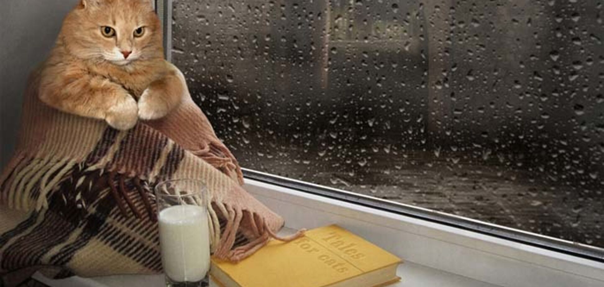 До +10: синоптик рассказал, когда и где в Украине сильно похолодает