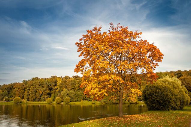 ''Бабье лето'': синоптики рассказали, когда в Украине потеплеет