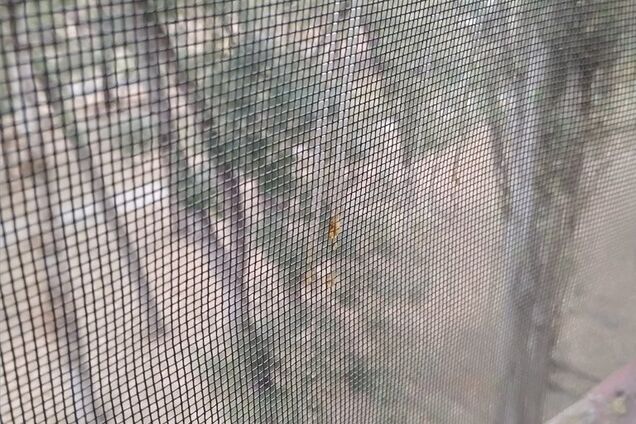 ''Рот печет, тело чешется'': очевидцы рассказали про ''кислотный ад'' в Крыму