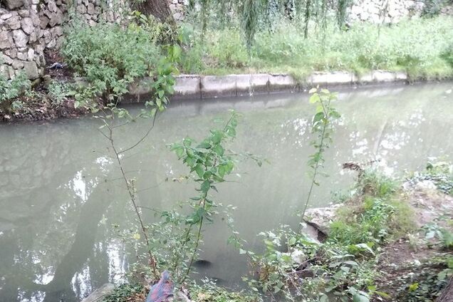 Новости Крымнаша. Крымчане уже не рады. Сейчас глаза у многих открылись в полной мере