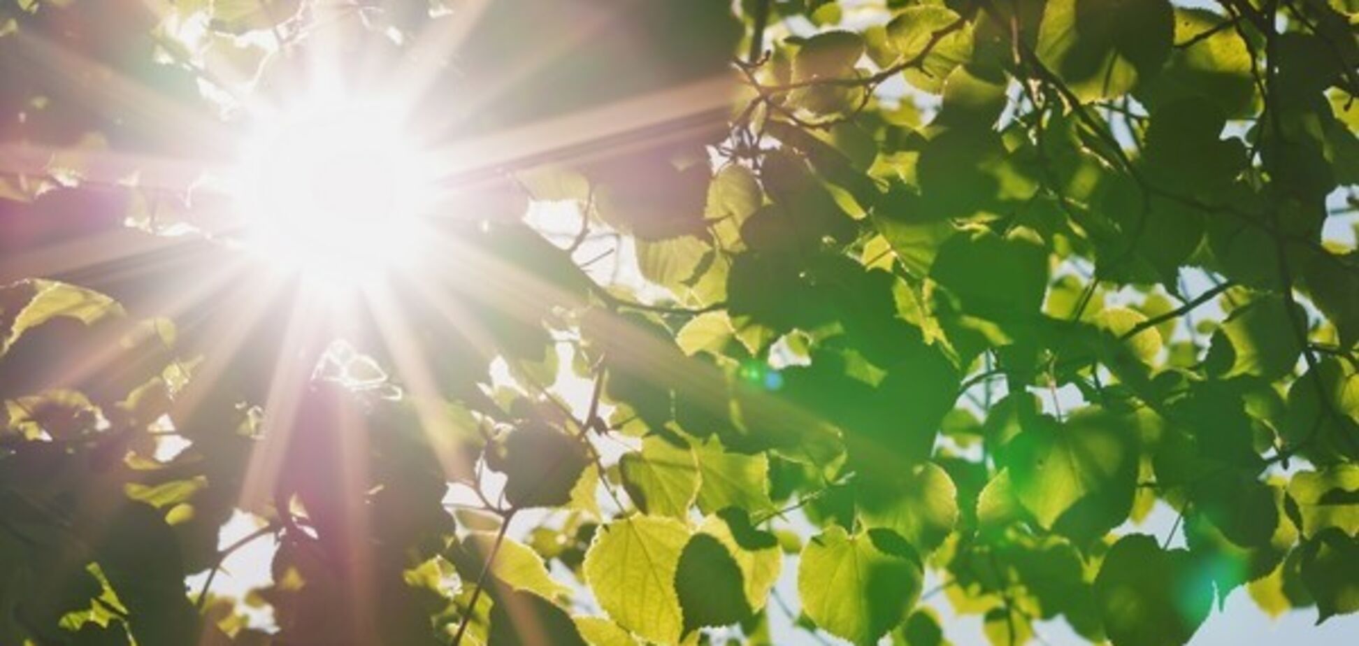 Ворвется летняя погода: синоптики уточнили прогноз в Киеве на неделю