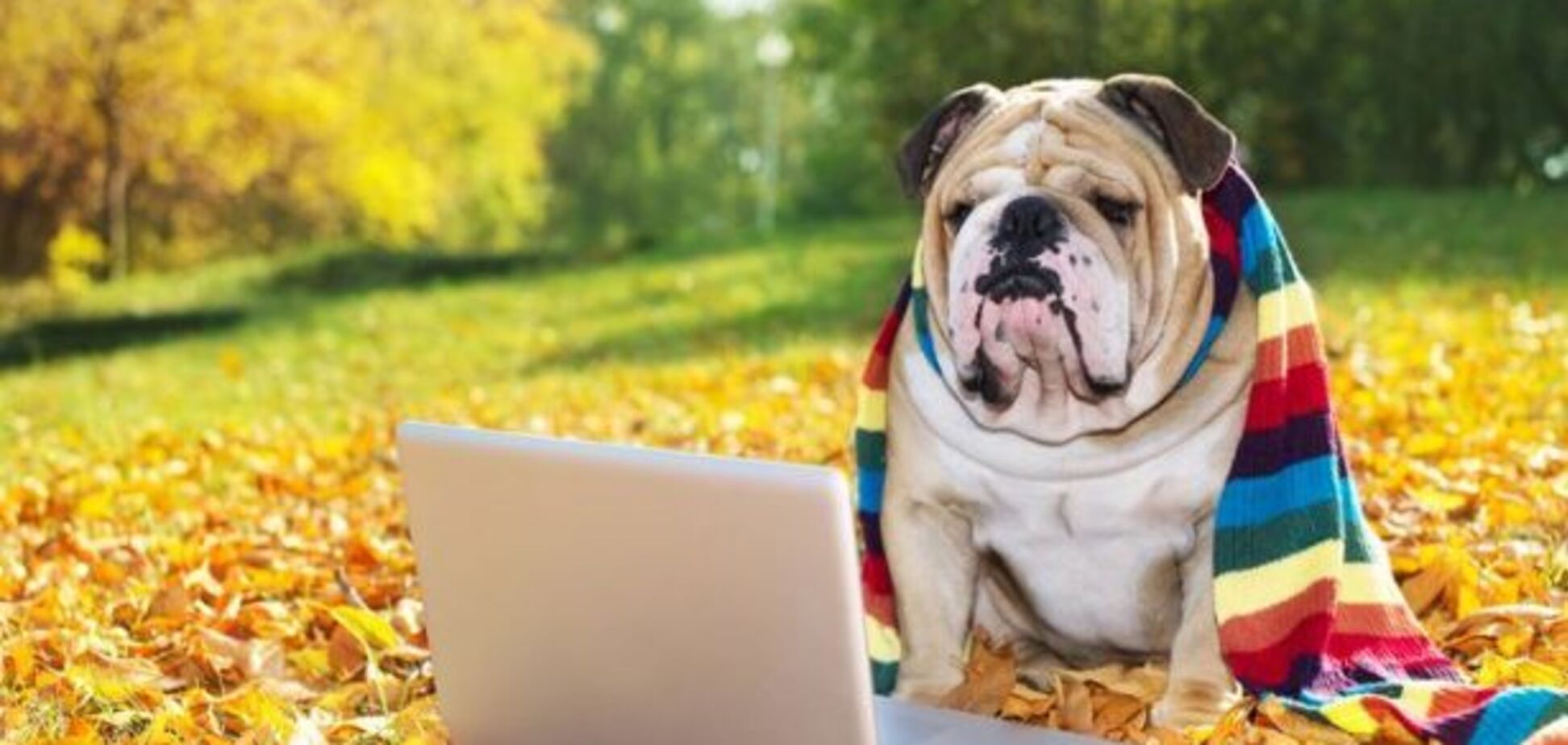 18 сентября 2018: какой сегодня праздник