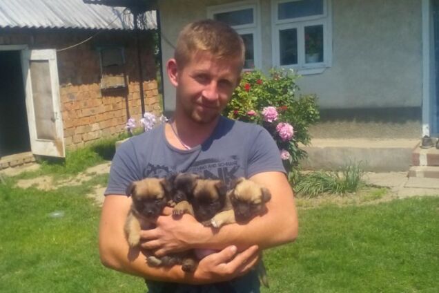 ДТП з поліцією