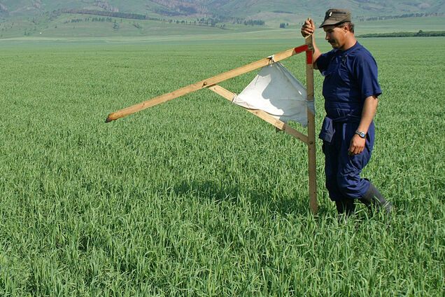 На рынке земли Украины ввели важное новшество: что надо знать