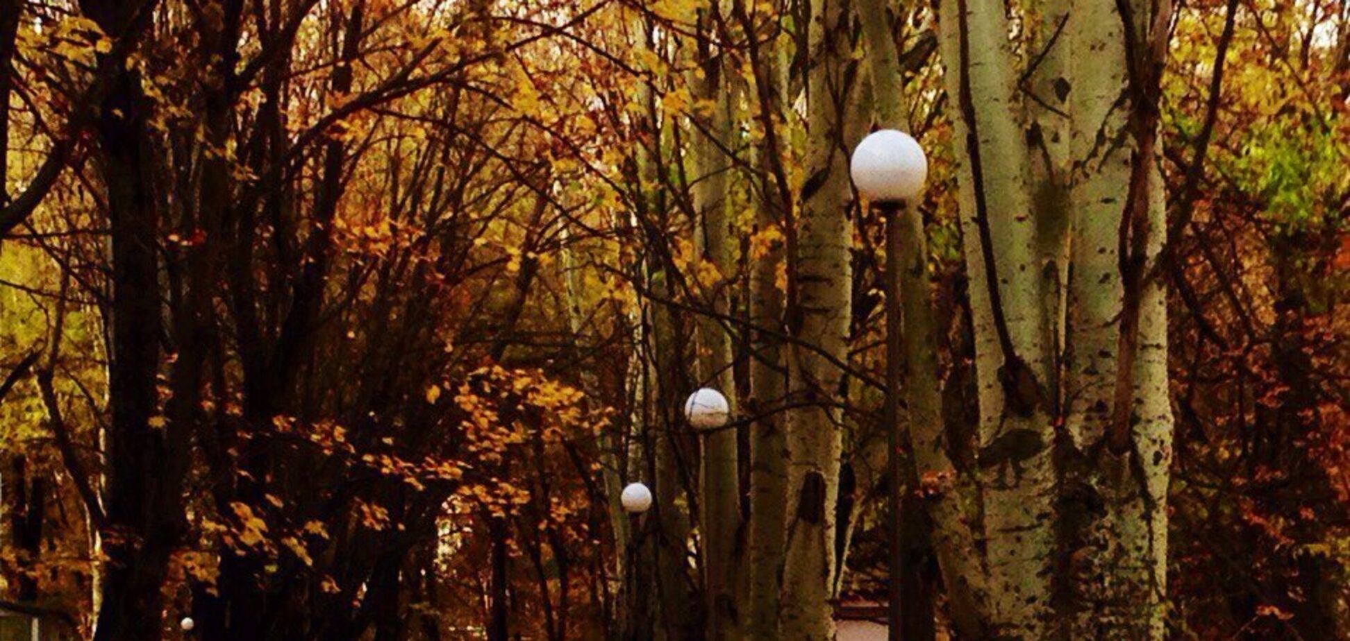 ''Кидають тварин і людей похилого віку'': Крим накрив хаос через наслідки ''хіматаки''