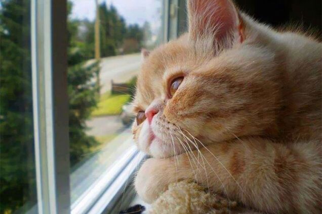 Повернеться літо: синоптики уточнили прогноз погоди в Україні