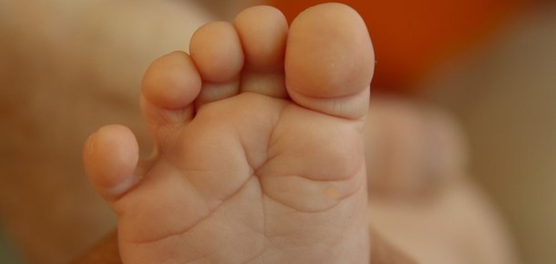 Задушил и закопал: на Черниговщине отец зверски убил младенца