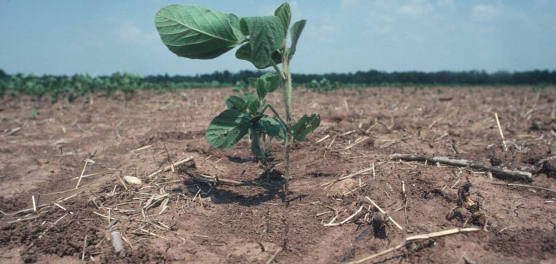 'Ситуация кошмарная': оккупанты резко уменьшили поставки воды в Крым