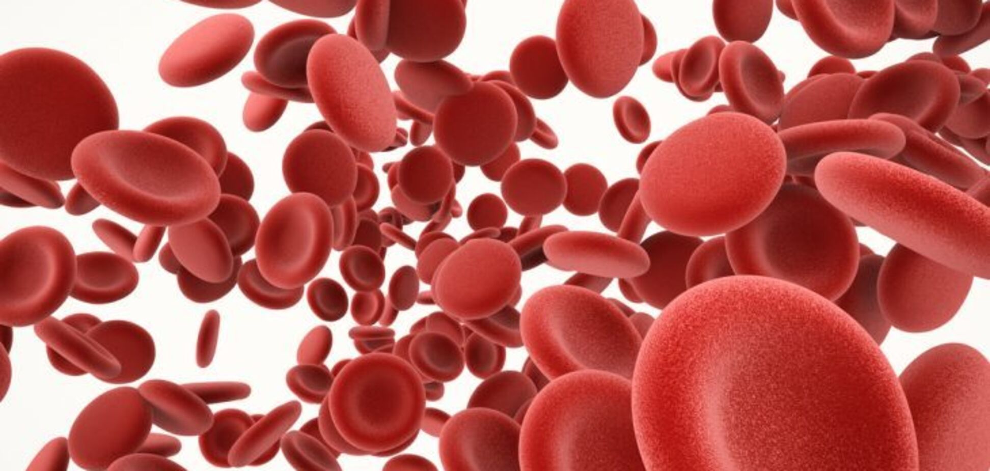 Низкий уровень триглицеридов в крови: причины