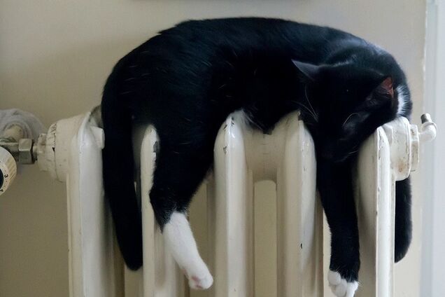 Хто менше всіх заплатить за опалення