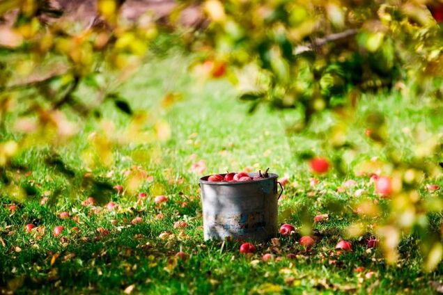 От +7: синоптики спрогнозировали температурные 'качели' в Украине