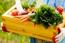 Чия земля? Українців!