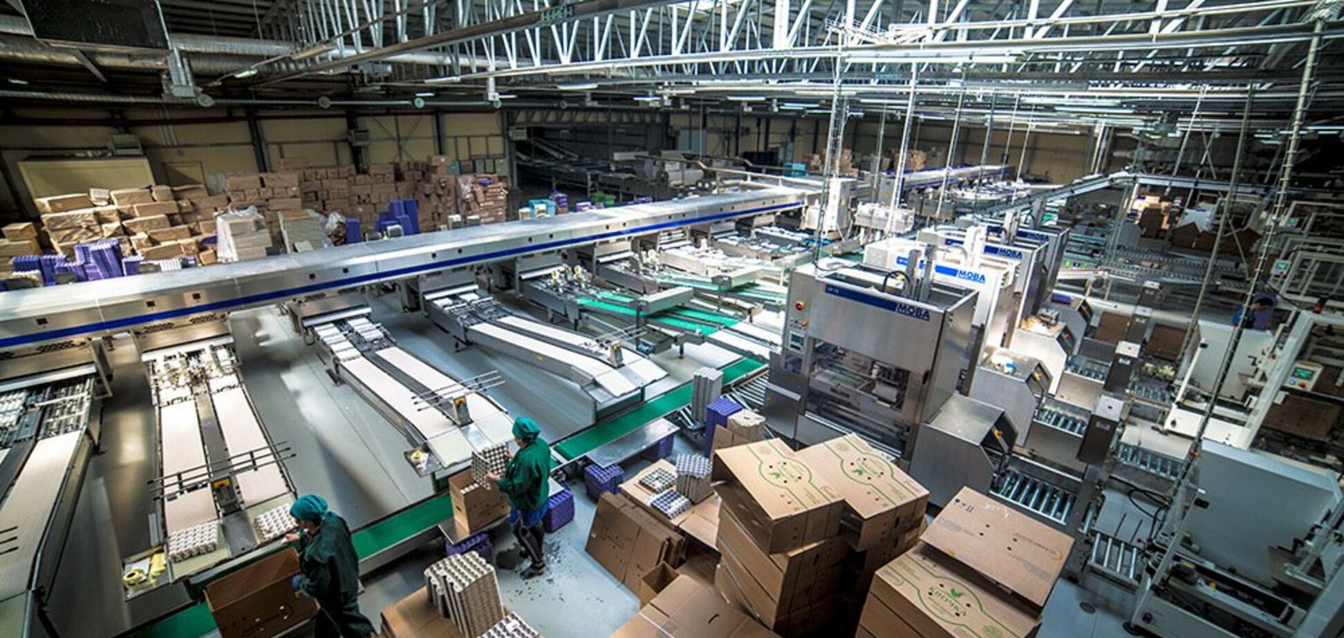 Компания Бахматюка хочет вернуть позиции второго производителя яиц в мире