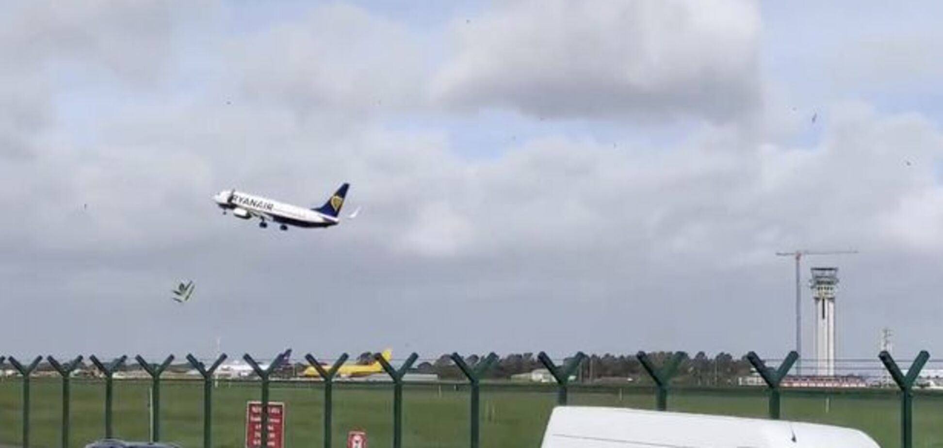 В Ірландії пілот літака врятував борт від катастрофи: відео
