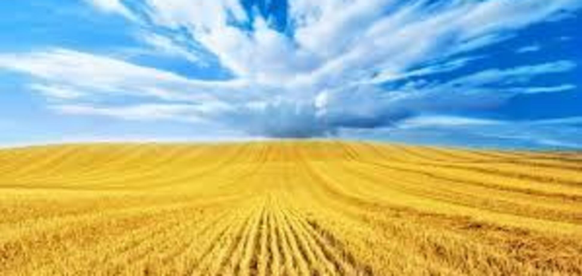 Цибулько: питання ринку землі — це питання безпеки держави