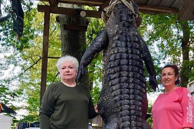Техаська стрільба з гвинтівки: бабуся-мер застрелила 3-метрового алігатора, який з'їв її поні