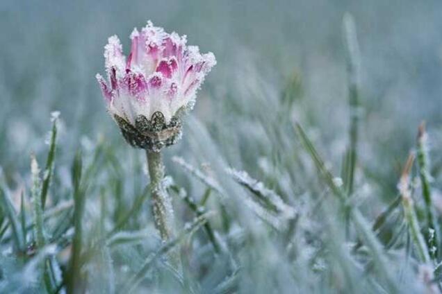 Ударять заморозки: синоптики попередили про різку зміну погоди в Україні