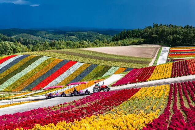 Чем не арт-объекты? Блогер показал удивительные поля Японии