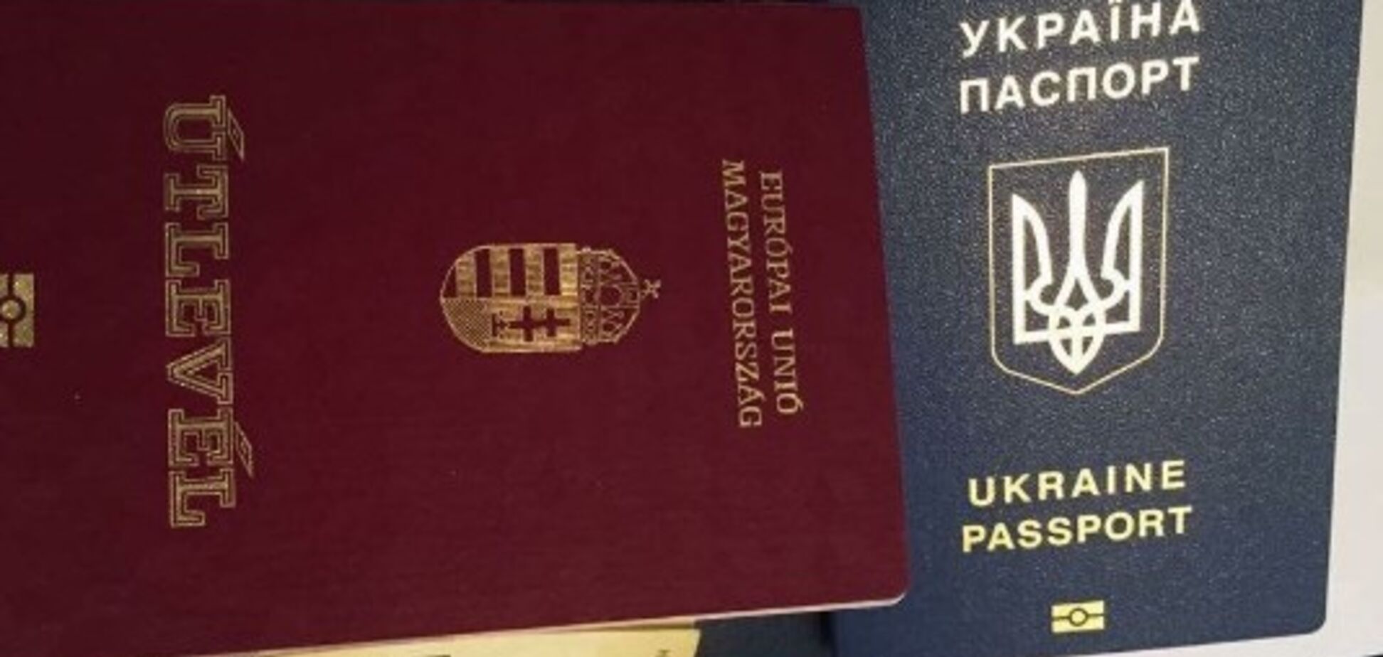 Клиенты 'Миротворца': на Закарпатье поймали 39 человек с двойным гражданством