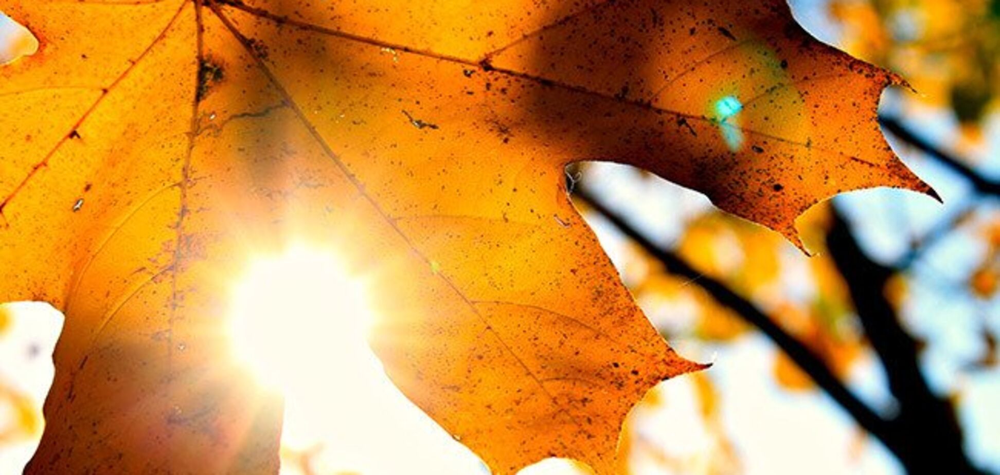 Настоящее лето: синоптики удивили прогнозом на октябрь