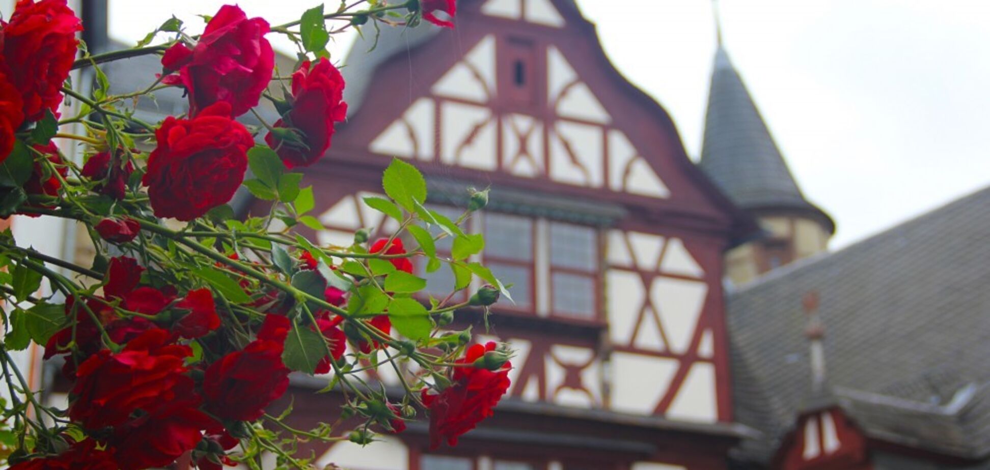 Мандрівник показав дивовижну красу старовинного замку в Німеччині: яскраві фото
