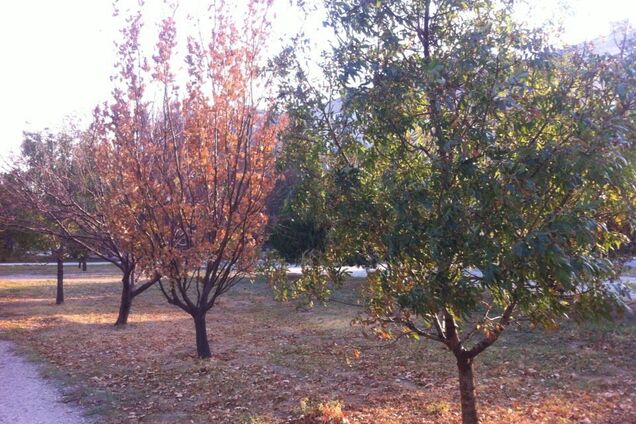 Новости Крымнаша. Жить стало страшно, а страх стал синонимом Крыма