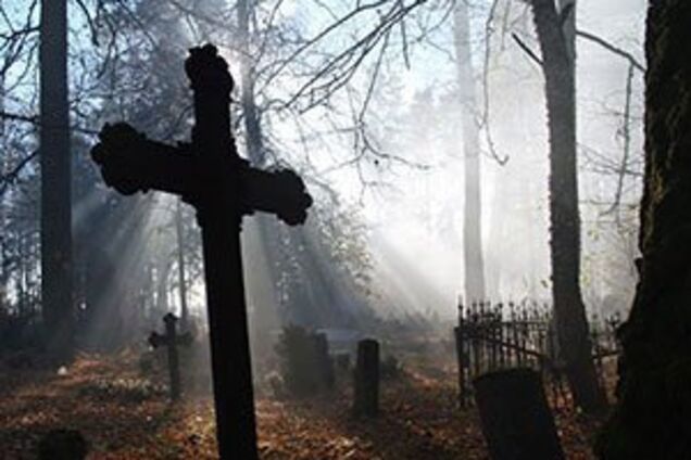 В России разрыли кладбище с ветеранами Второй мировой: опубликовано видеодоказательство