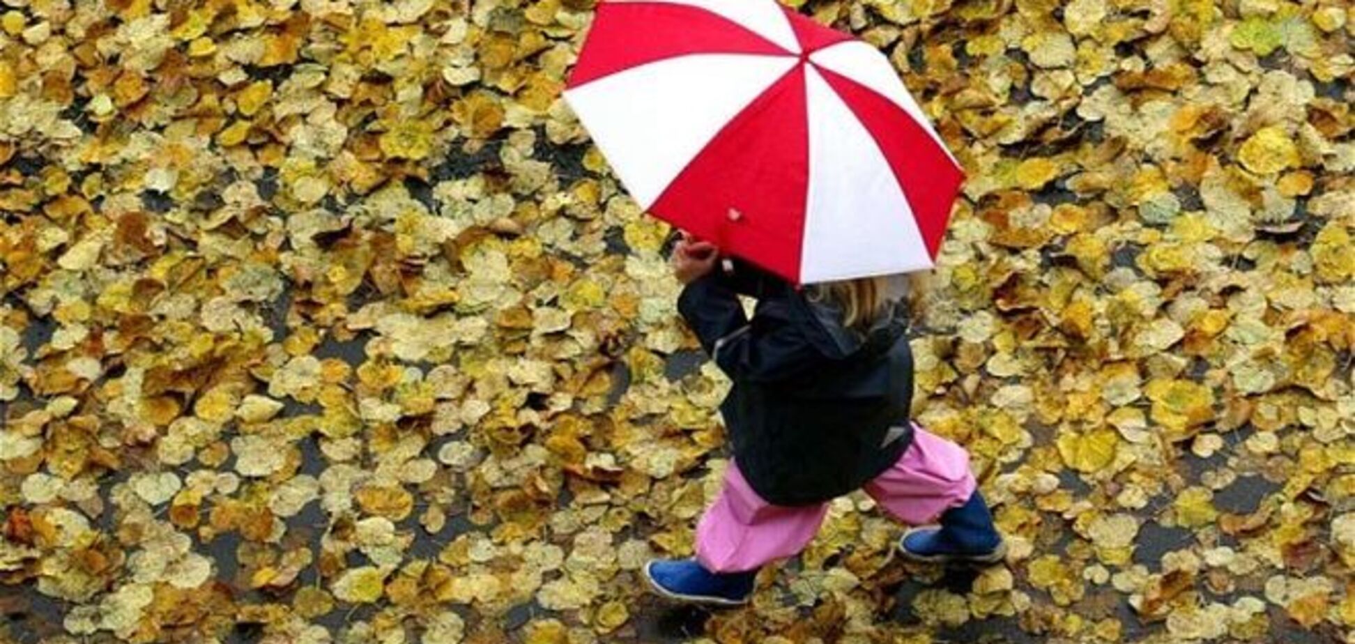 Второе бабье лето: синоптик уточнил прогноз погоды на октябрь в Украине