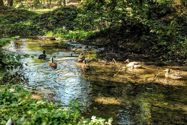 Заброшенные реки в городе: грусти пост
