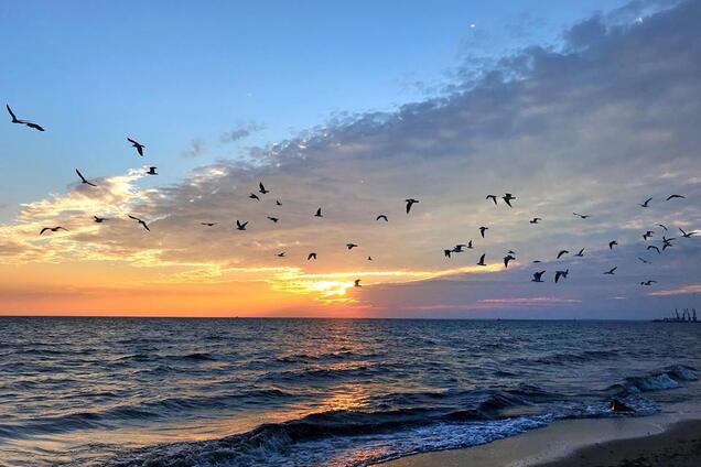 ''Безумие красок'': в сети появились яркие фото украинского курортного города