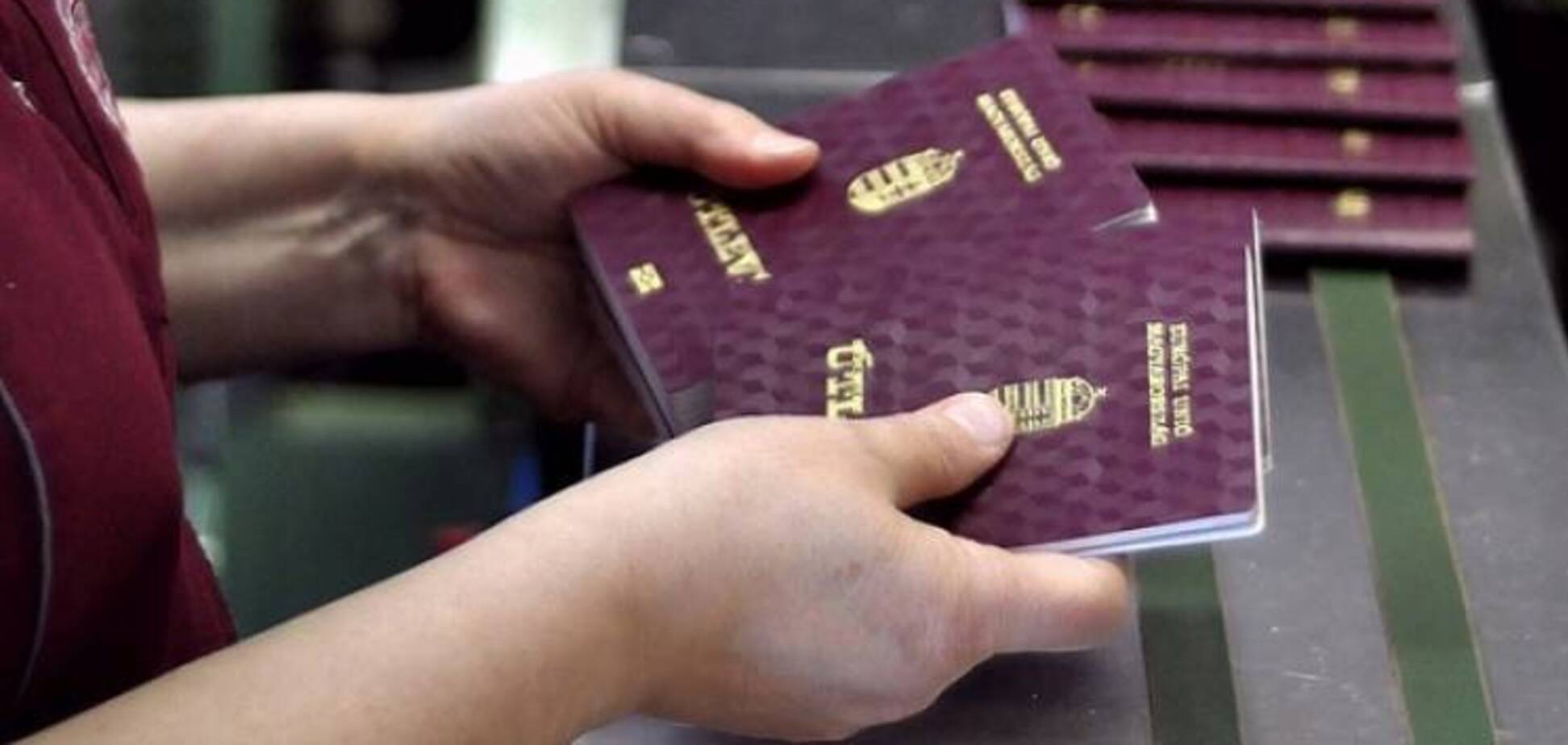 Тюрьма или штраф? Как в Украине накажут за второй паспорт