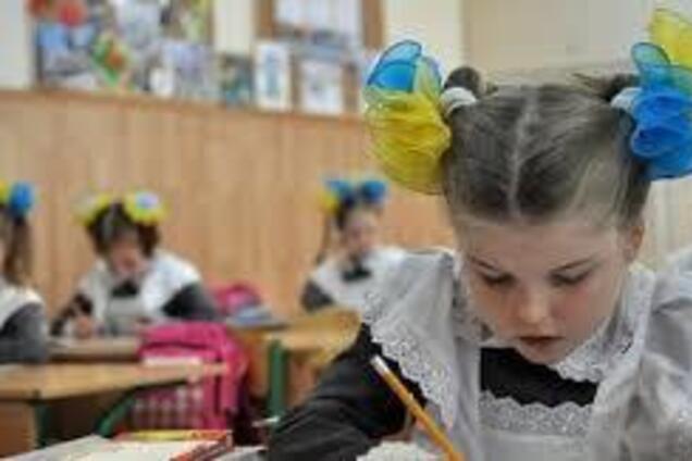 ''Защитили с*паров!'' В украинском законе об образовании нашли скандальный нюанс 