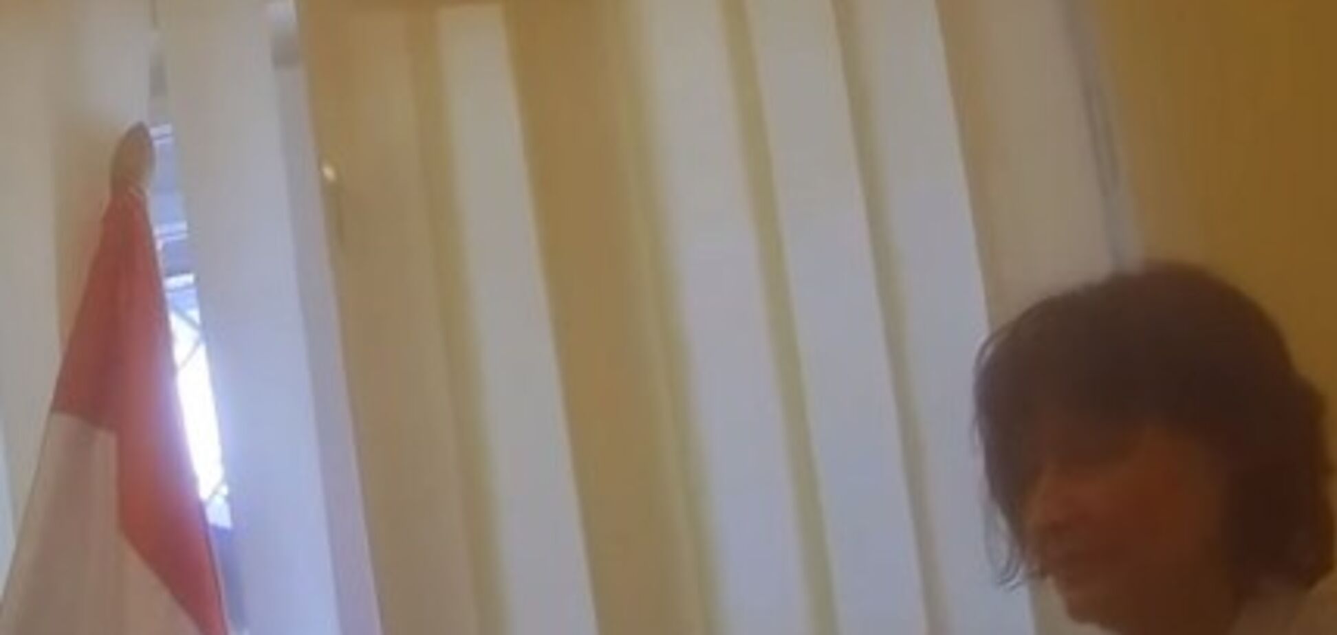 'Искусственно раздули': Москаль рассказал, кто снял скандальное видео с паспортами Венгрии