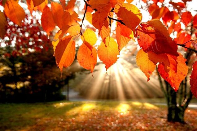 Заморозки уйдут: синоптик обрадовала чудесным потеплением в Украине